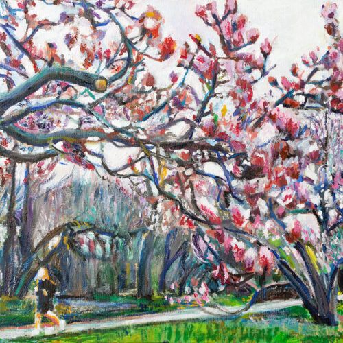 Prospect Park Blossoms