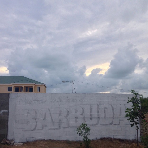 Barbuda will Survive Mural