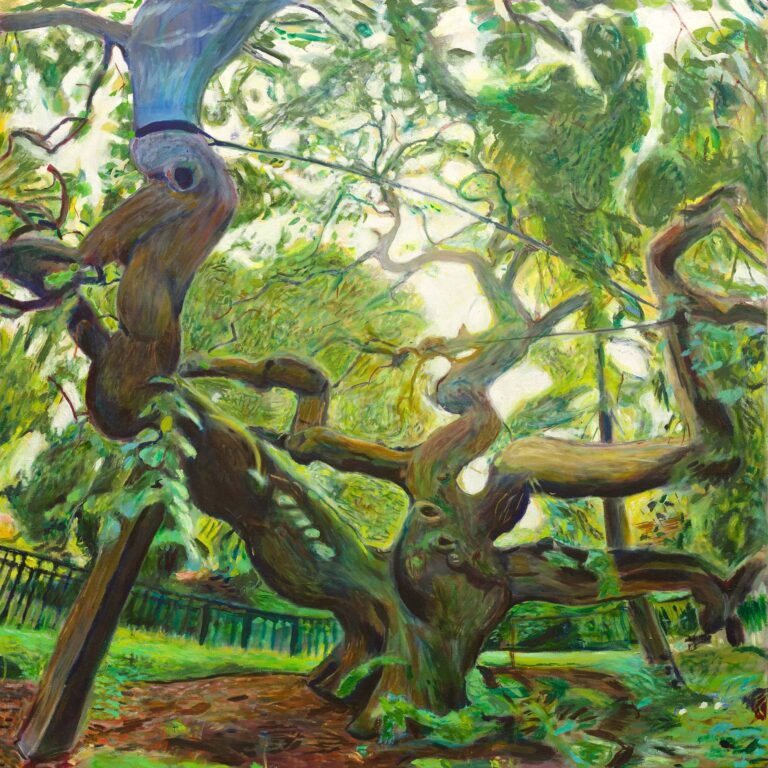 The Camperdown Elm in Prospect Park
