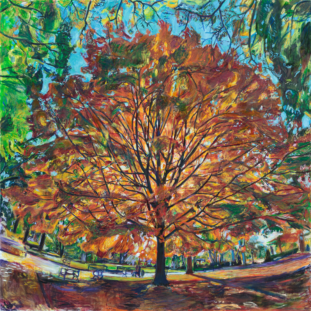 Oil painting of a large sugar maple tree in Prospect Park Brooklyn by Noel Hefele