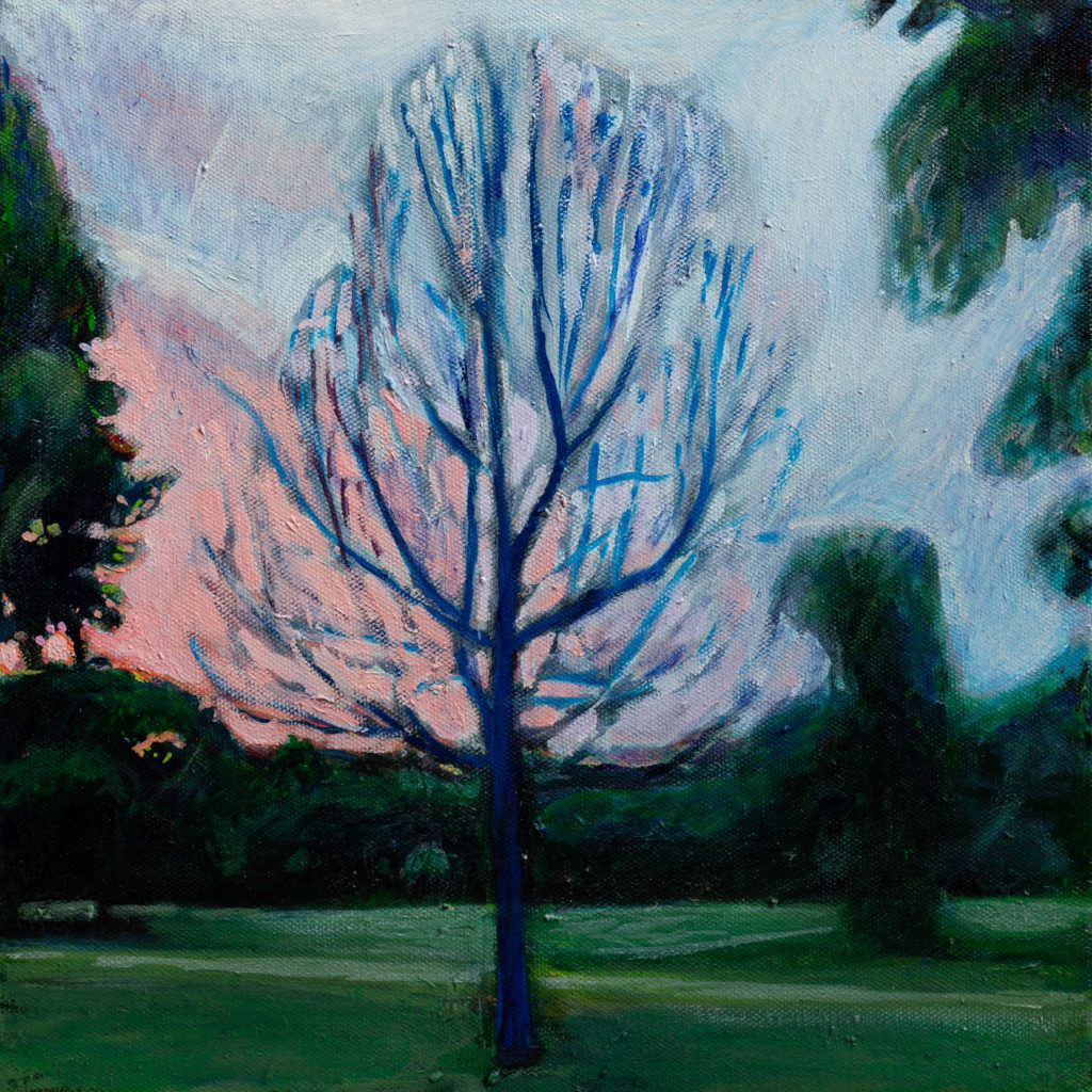 Oil painting of a tree in Prospect Park at Sunset by Noel Hefele