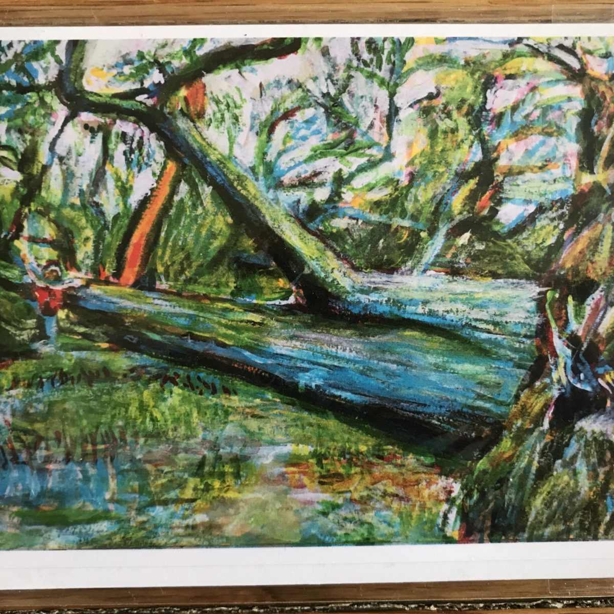 Fallen Tree from Sandy Greeting Card