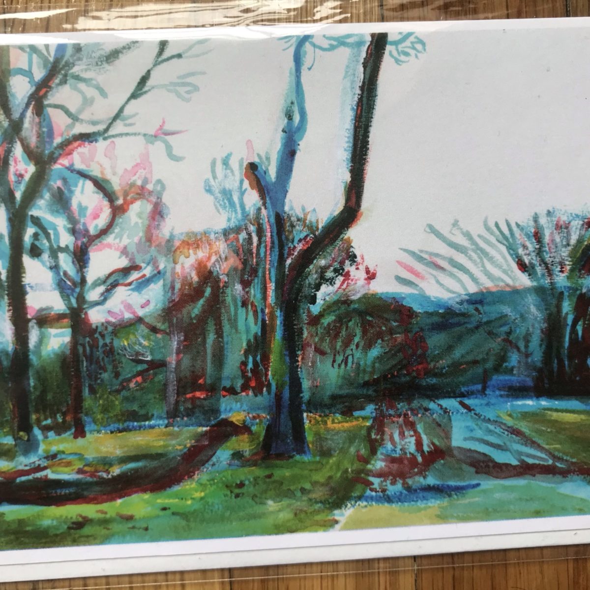After Sandy in Prospect Park Greeting Card