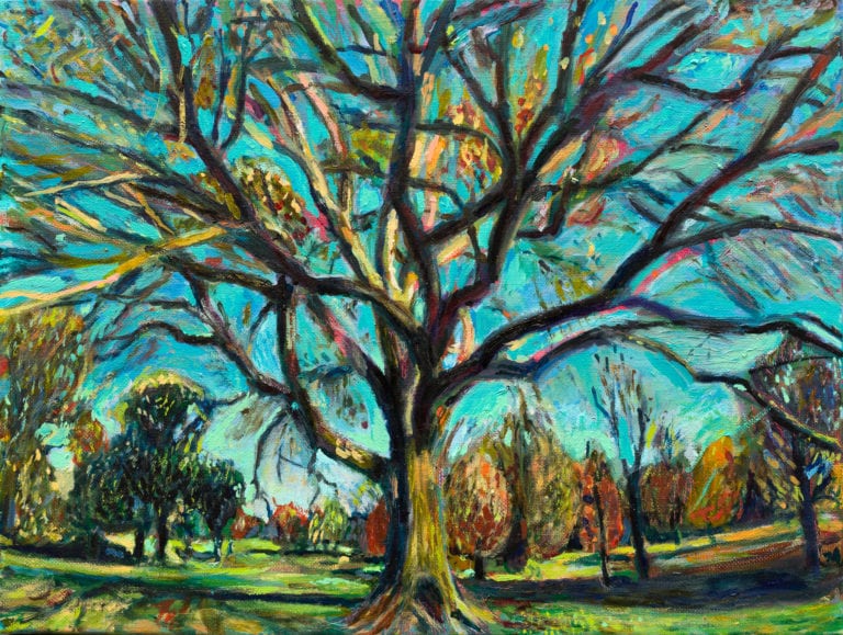 oil painting of an American elm in Prospect Park by Noel Hefele