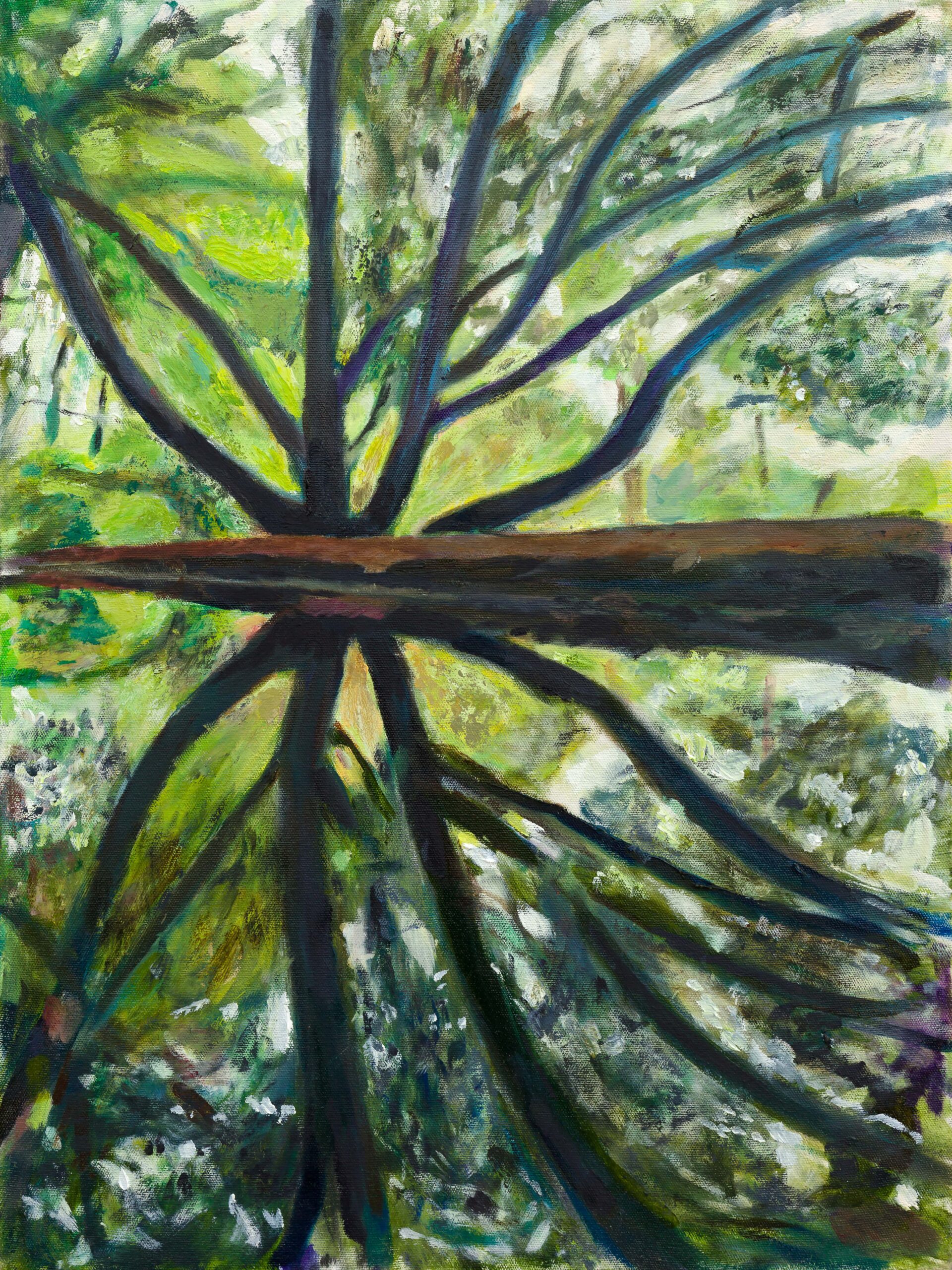 oil painting of an ironwood tree in Prospect Park by Noel Hefele