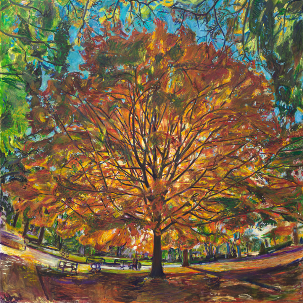 Oil painting of a autumn maple tree in prospect park brooklyn by noel Hefele