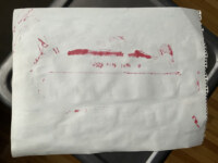 Prospect Park Boathouse Drawing - Image 4