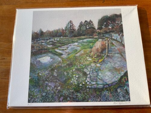 Abandoned Nursery in Devon, England: Giclee Print by Noel Hefele