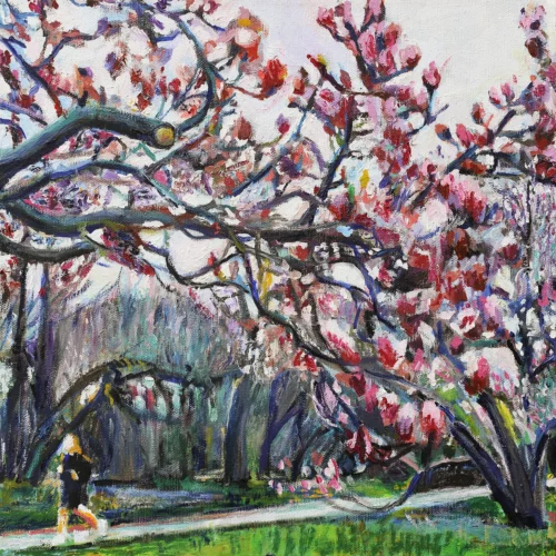 Limited Edition Prospect Park Magnolias Giclee Print