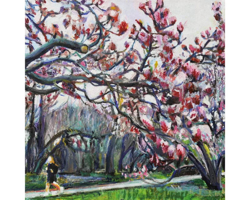 Prospect Park Magnolias