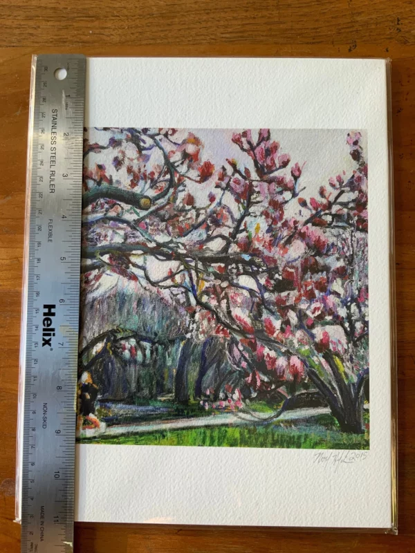 Prospect Park Spring Magnolias giclee print with ruler