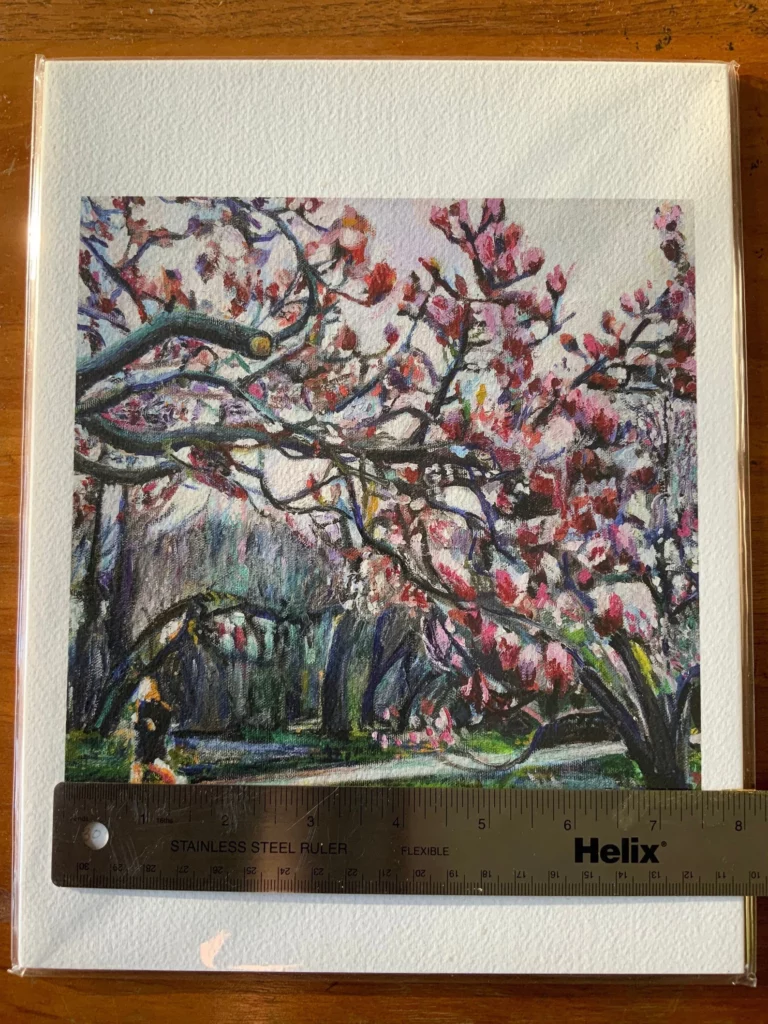 Prospect Park Spring Magnolias giclee print with ruler showing width