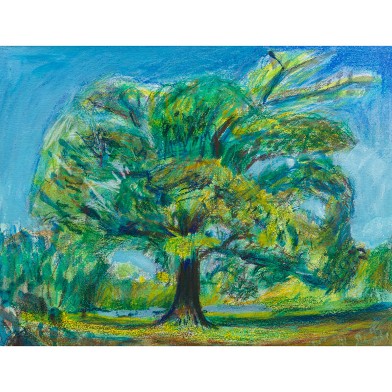 Black Willow Prospect Park Artwork