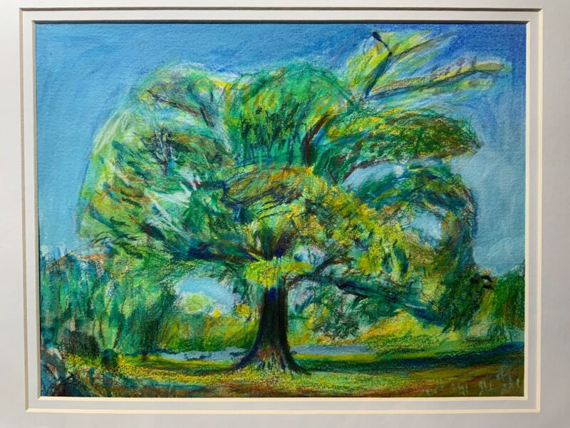 Eldest Willow: Matted