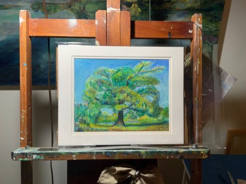Eldest Willow drawing by artist Noel Hefele on easel in artist studio