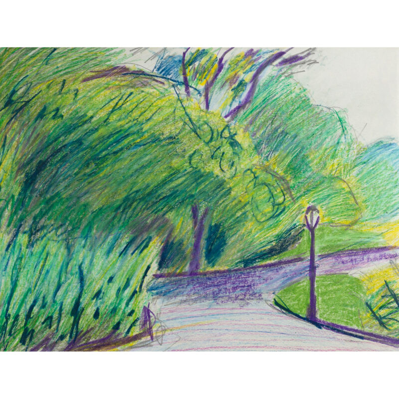 Prospect Park Purple Path