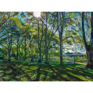 Spirit in the Trees Noel Hefele