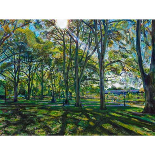 Spirit in the Trees Noel Hefele