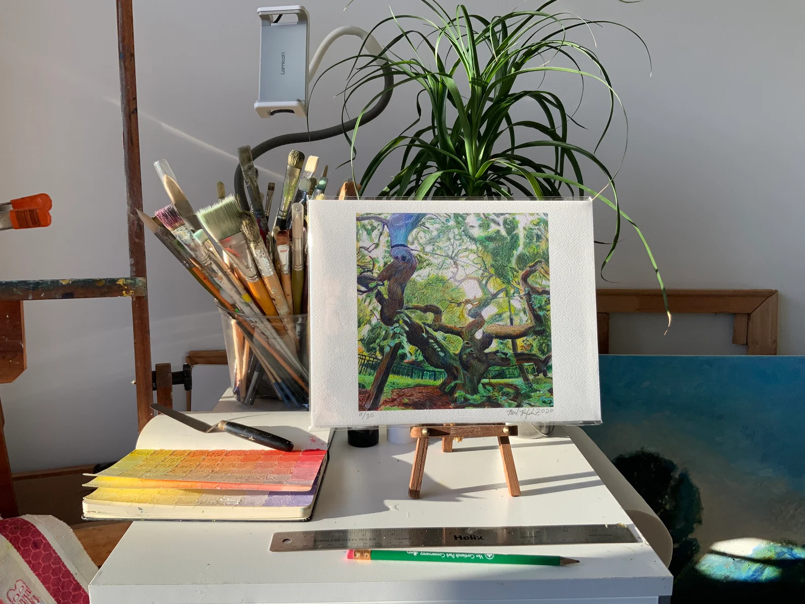 Wide shot of Camperdown Elm print in artist's studio