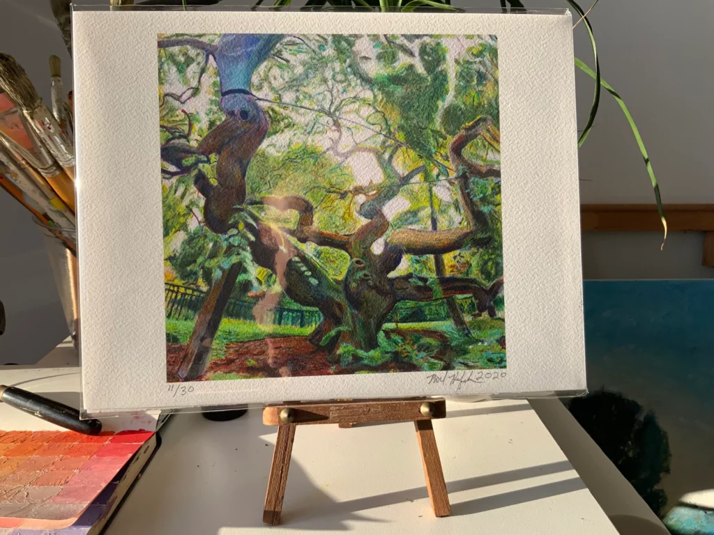 8.5x11 print of Camperdown Elm on studio easel