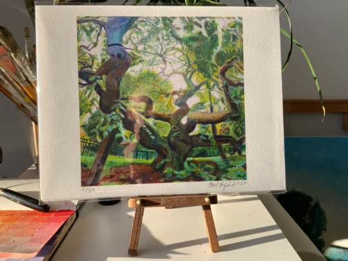 8.5x11 print of Camperdown Elm on studio easel