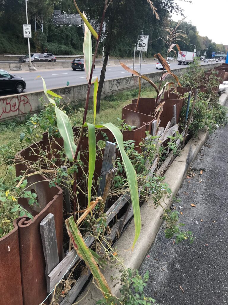 Evidence of urban gardening by the side of the highway?