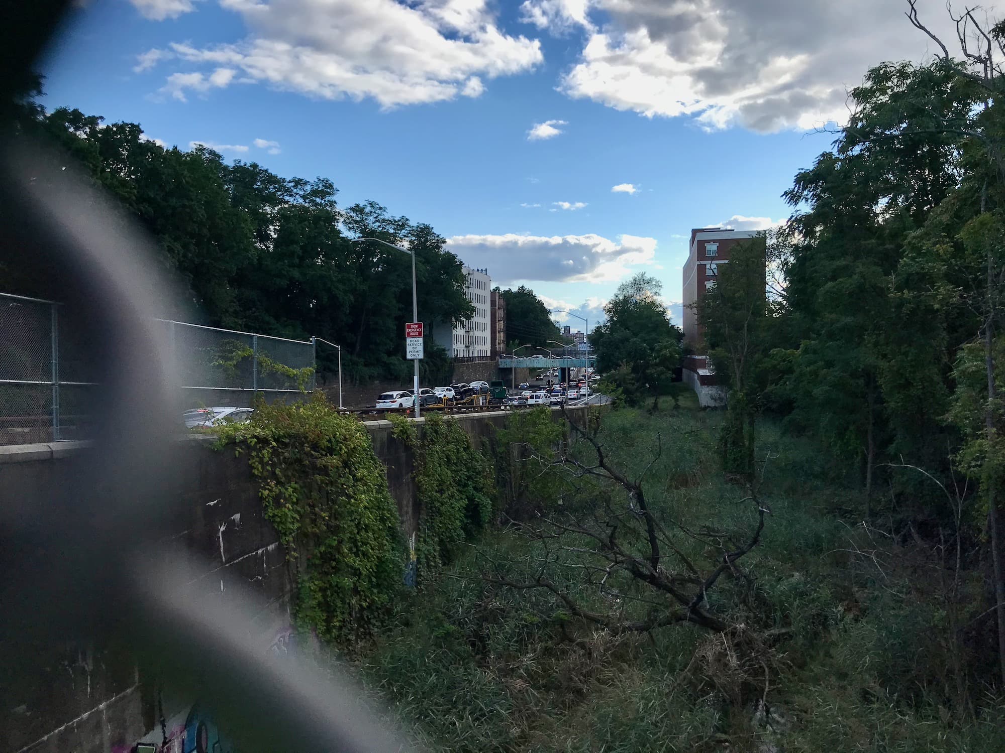 The expansive view of the Tibbetts Brook corridor, set against an urban backdrop, as seen through a fence.