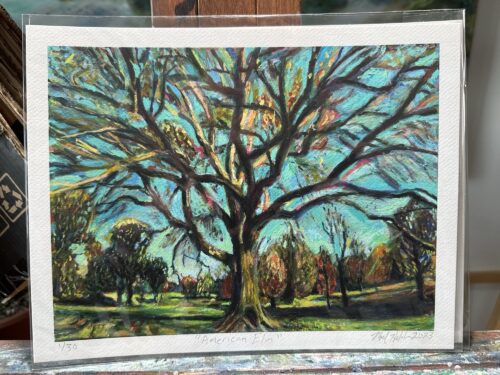 American Elm in Prospect Park Giclee Print