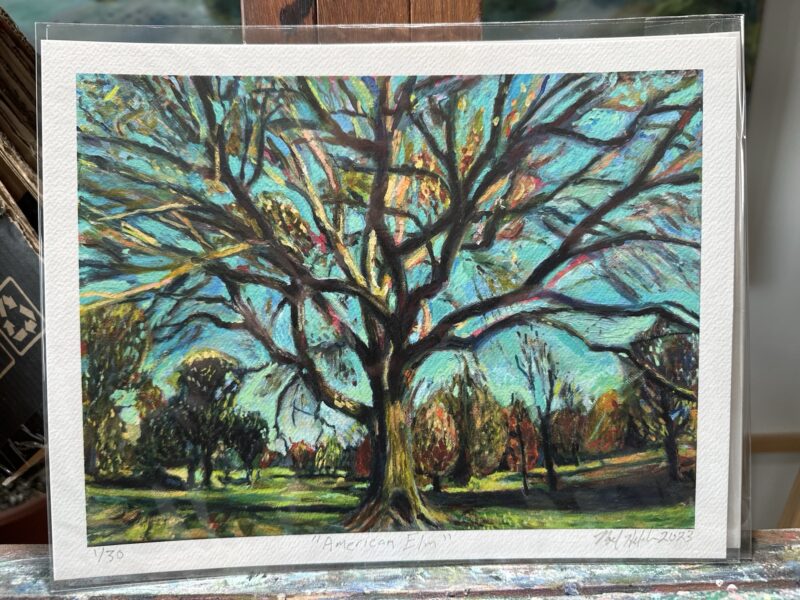 American Elm in Prospect Park Giclee Print