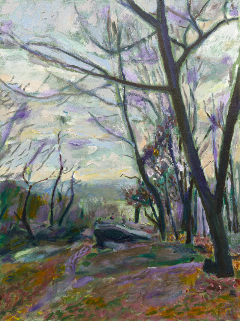 Vault-Hill-Van-Cortlandt-Park-oil-painting-by-Noel-Hefele