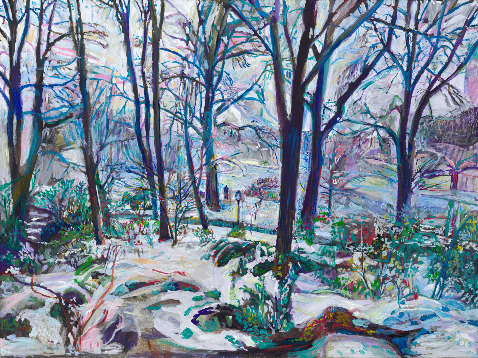 Winter Forest in NYC Park