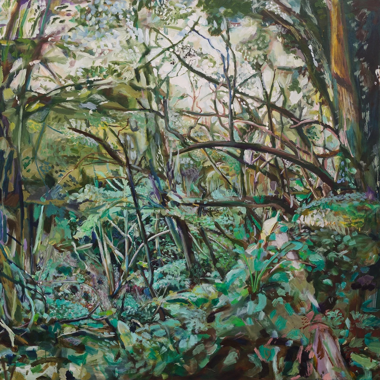 Devon England Trees